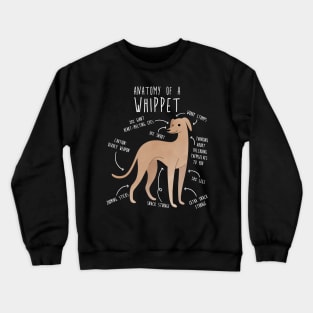 Whippet Dog Anatomy Crewneck Sweatshirt